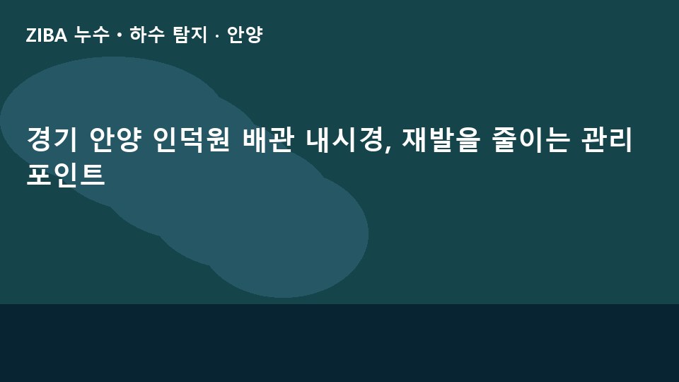 경기 안양 인덕원 배관 내시경, 재발을 줄이는 관리 포인트