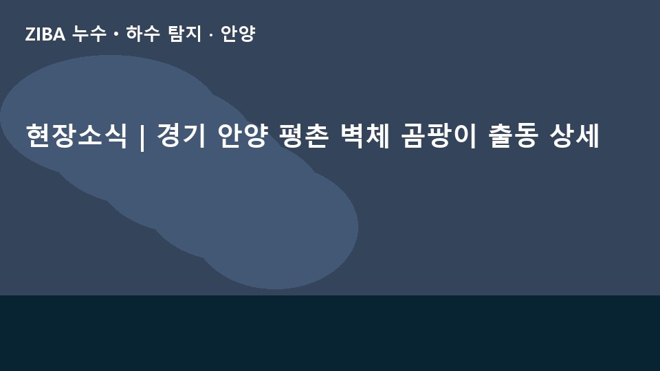 현장소식 | 경기 안양 평촌 벽체 곰팡이 출동 상세